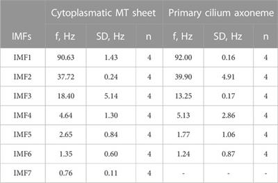 Role of the microtubules in the electrical activity of the primary cilium of renal epithelial cells